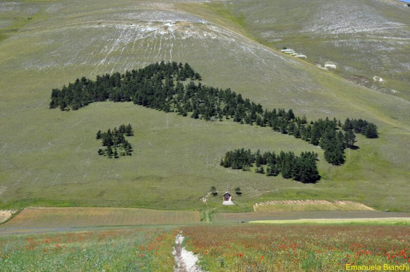 i maghi della bicicletta lago patria